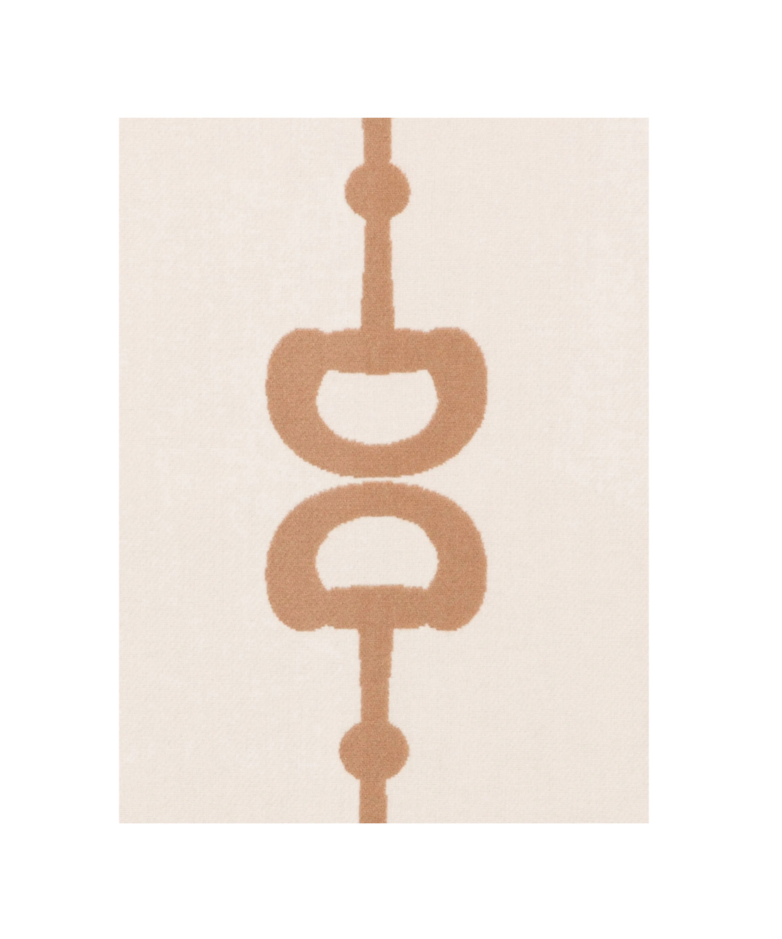 Gucci Reversible Scarf Fringe Detailing In Brown