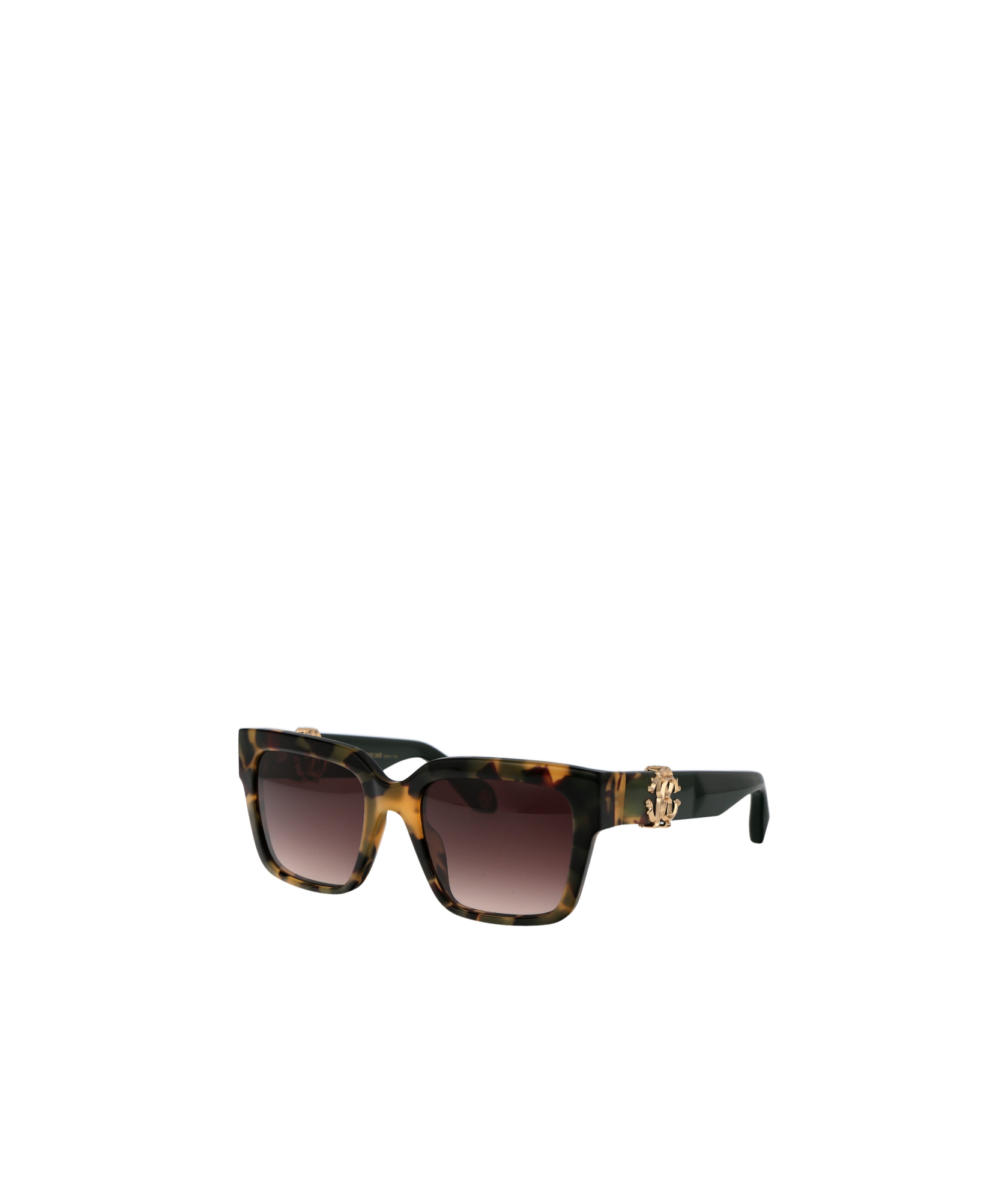 Roberto Cavalli Sunglasses Src040 M 0 Agg In Black