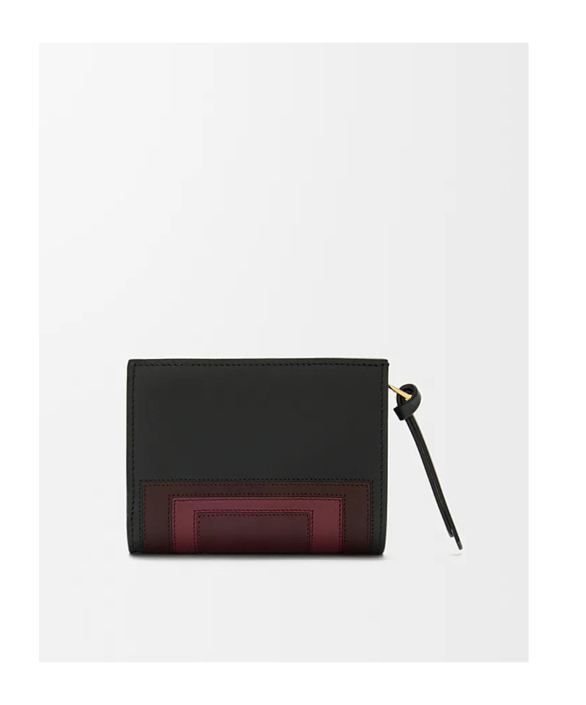 Loewe Compact Wallet In Multi