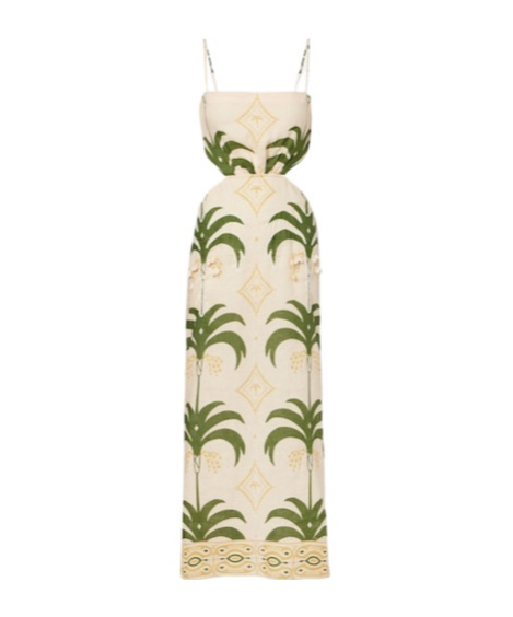 Johanna Ortiz Printed Cotton And Linen Midi Dress In Brown