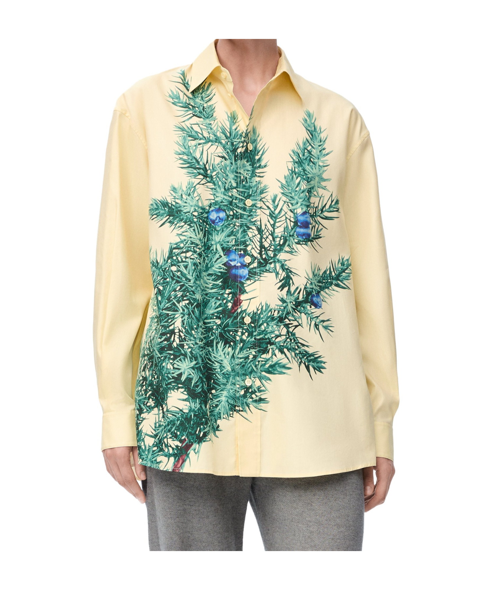 Loewe Long-sleeved Shirt In Nude