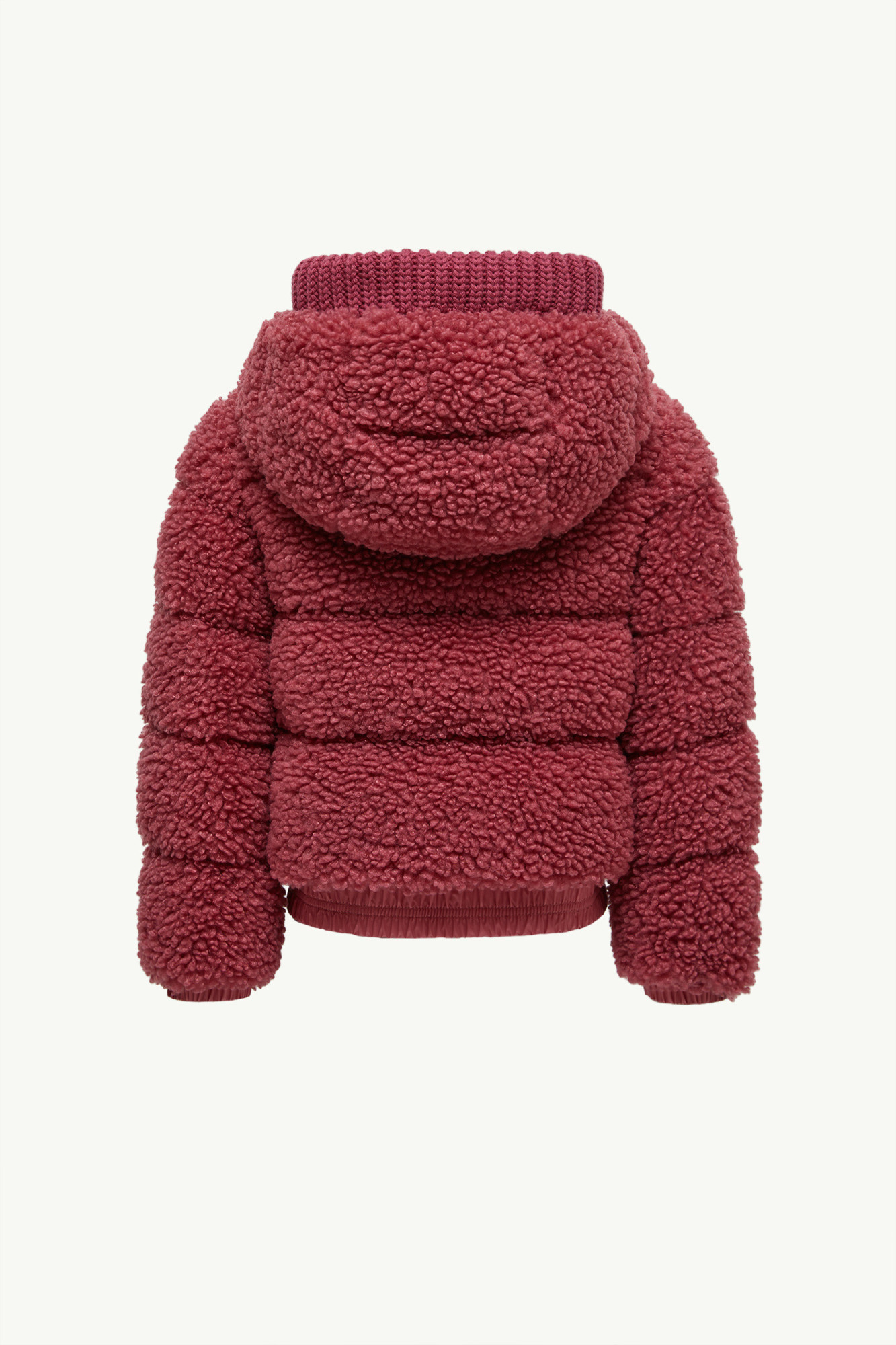 Moncler Adalbertas Teddy Hooded Down Jacket In Multi