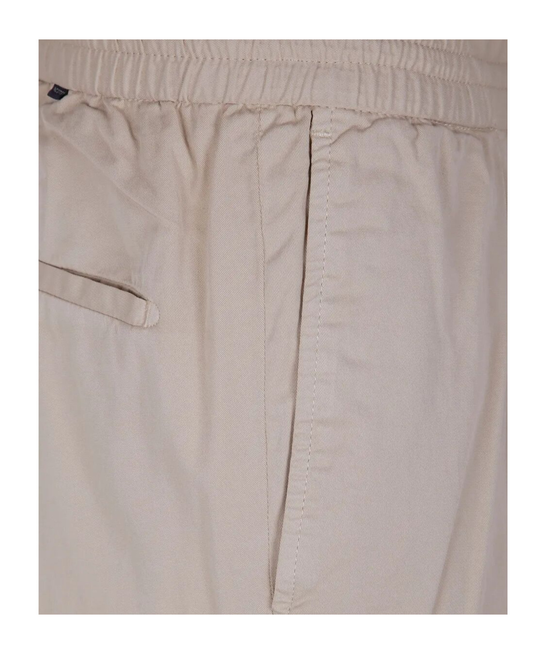 Incotex Pleated Pants In Nude
