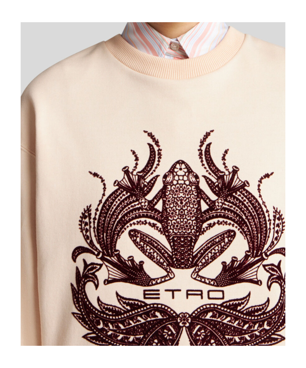 Etro Sweatshirt Mit Beflocktem Druck In Nude