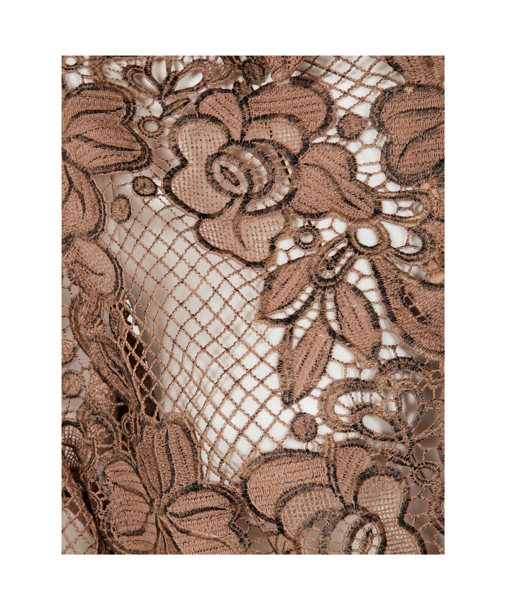 D Exterior D.exterior Macrame Lace Blouse In Brown