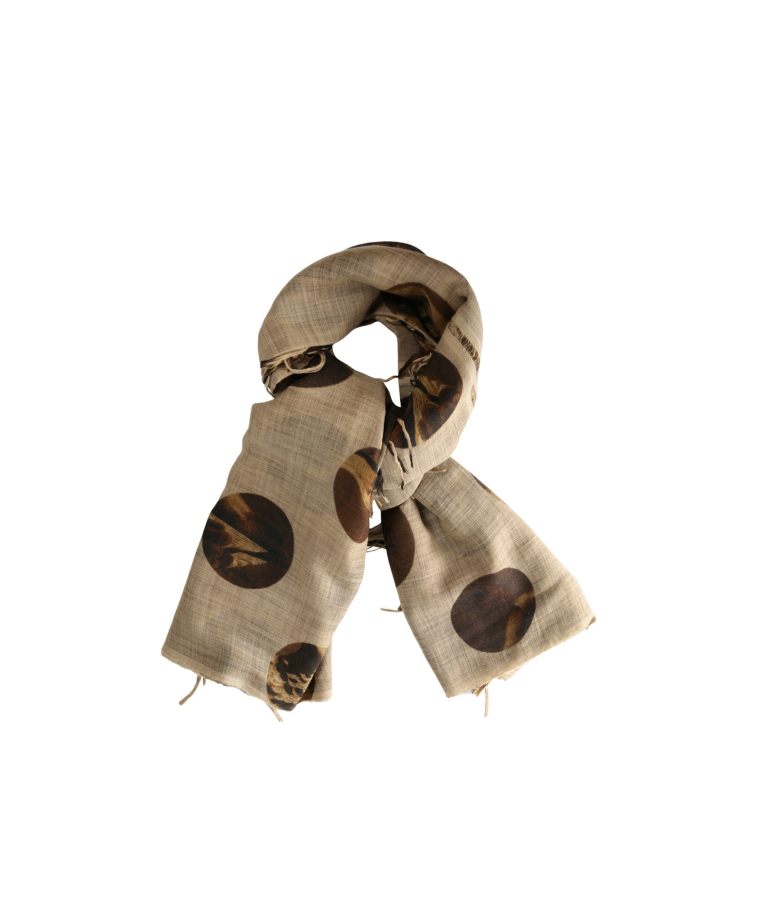 Uma Wang Polka-dot Fringed Scarf In Brown