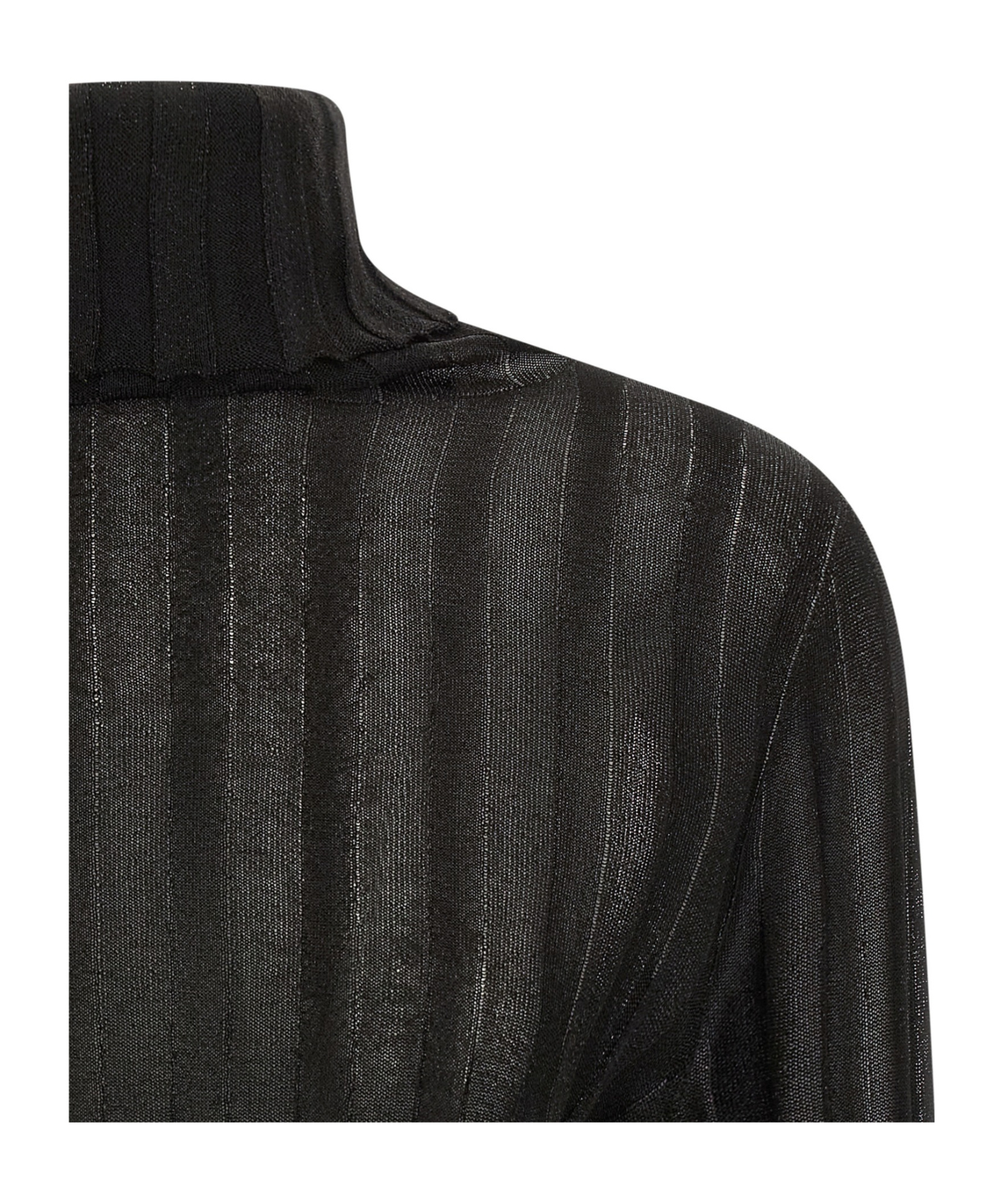 Fabiana Filippi Turtleneck Sweater With Ribbed Sheer Fabric In Black