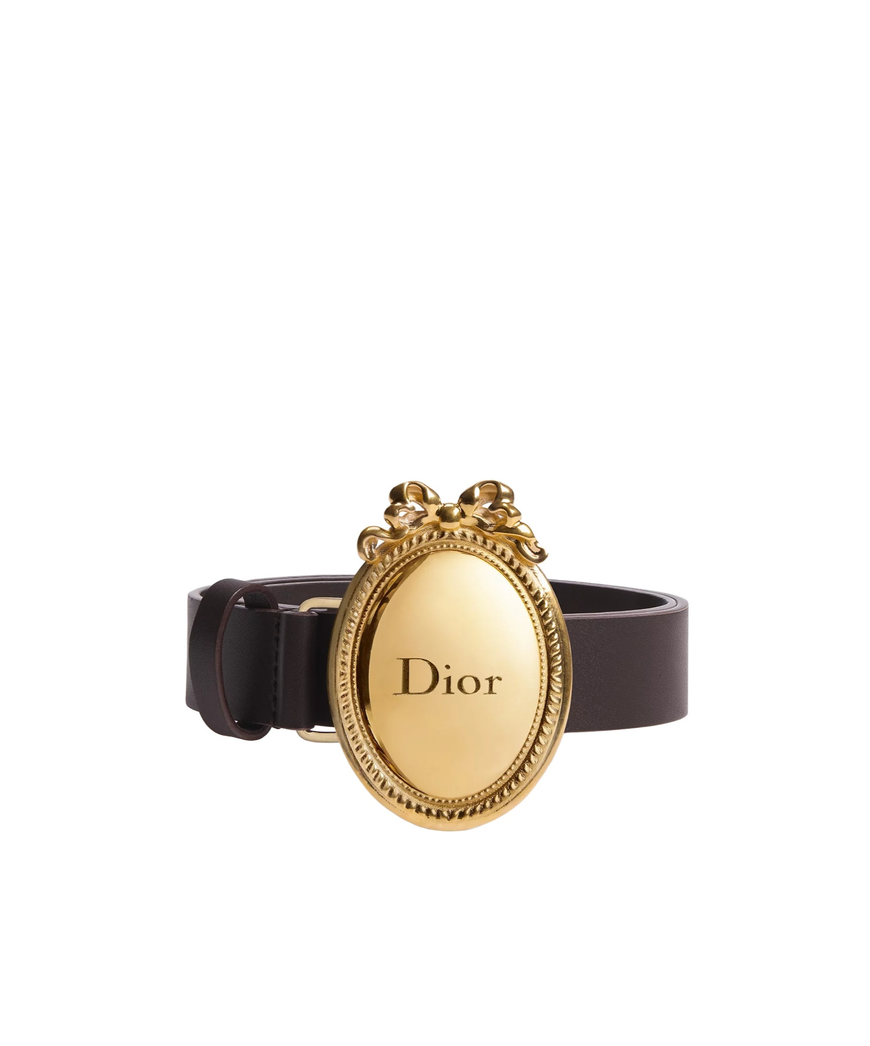Dior Médaillon Belt In Brown