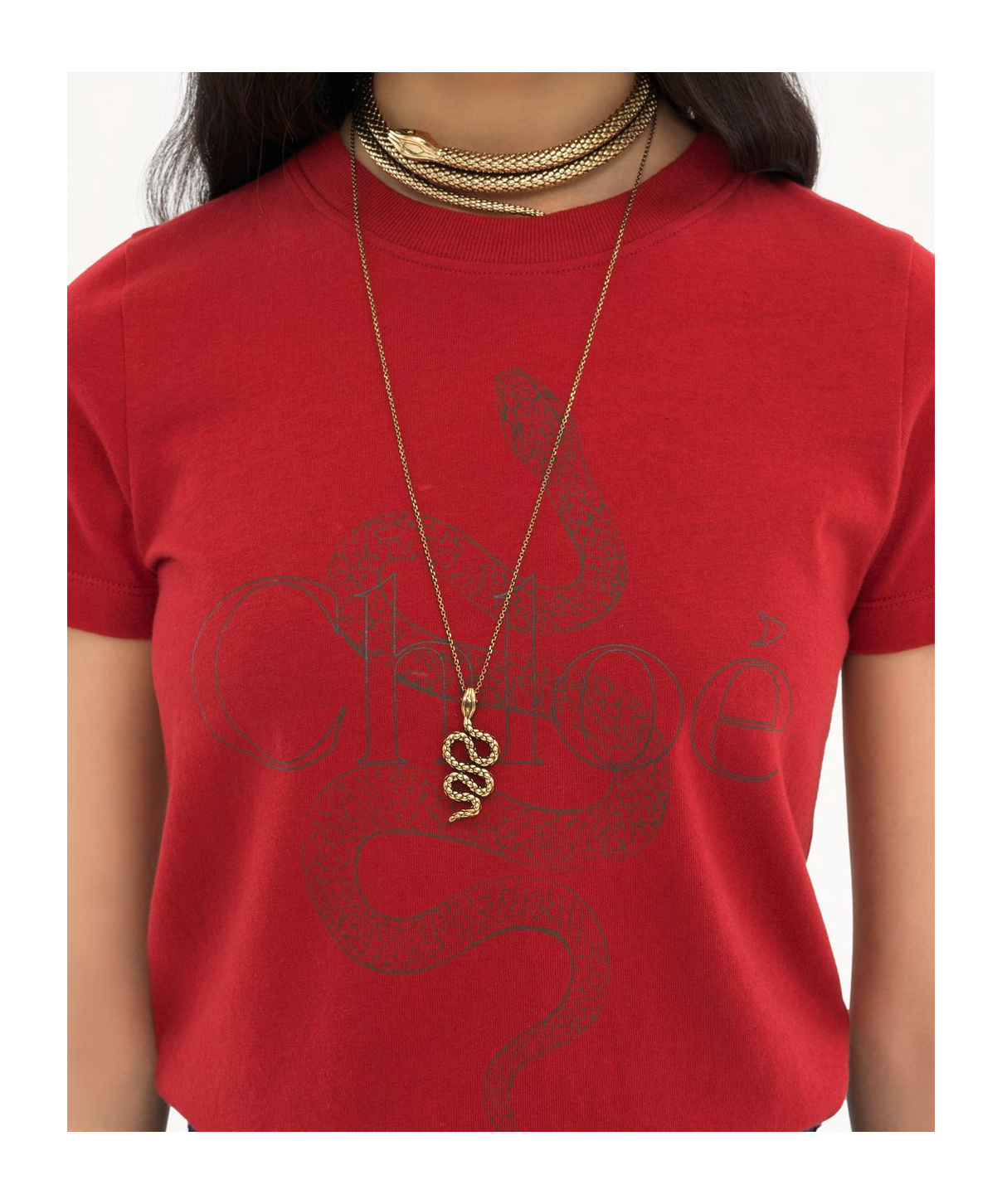 Chloé Snake Printed Crew Neck T-shirt In Red