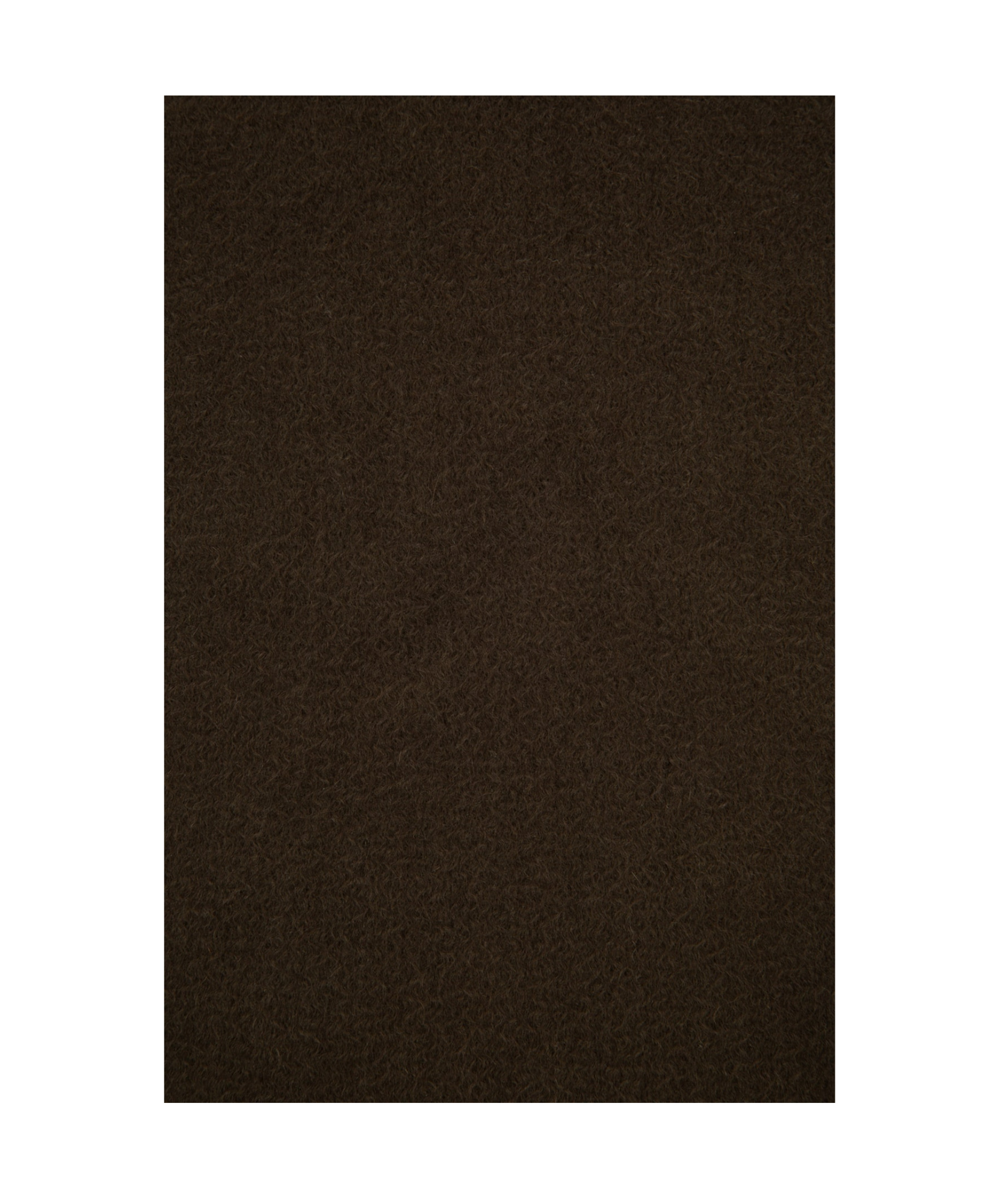 Loro Piana Fraser Detail Scarf In Coal Green