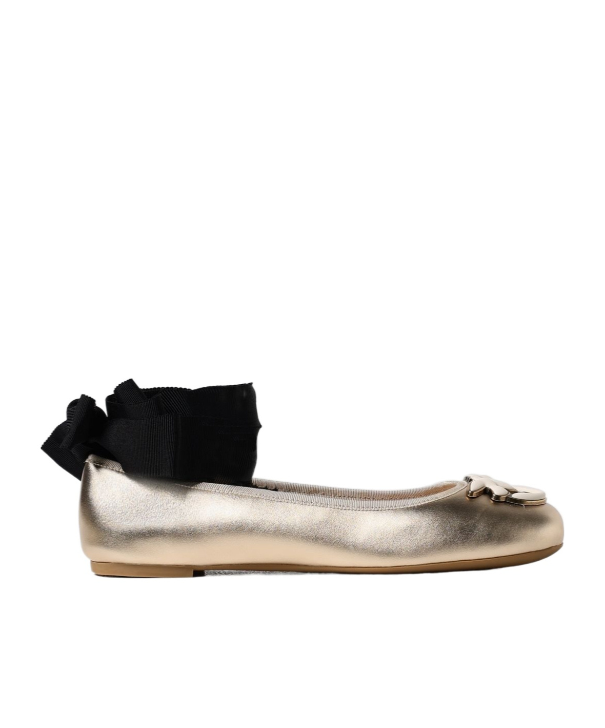 Pinko Gioia Birds Ballerina Shoes In Multicolor