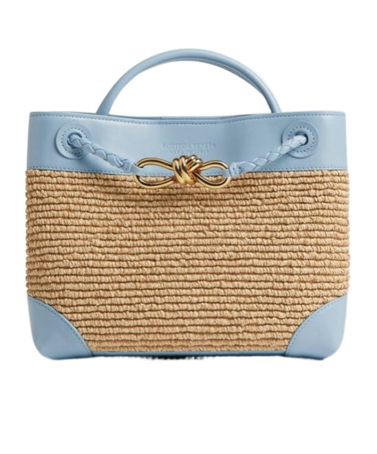 Bottega Veneta Small Andiamo