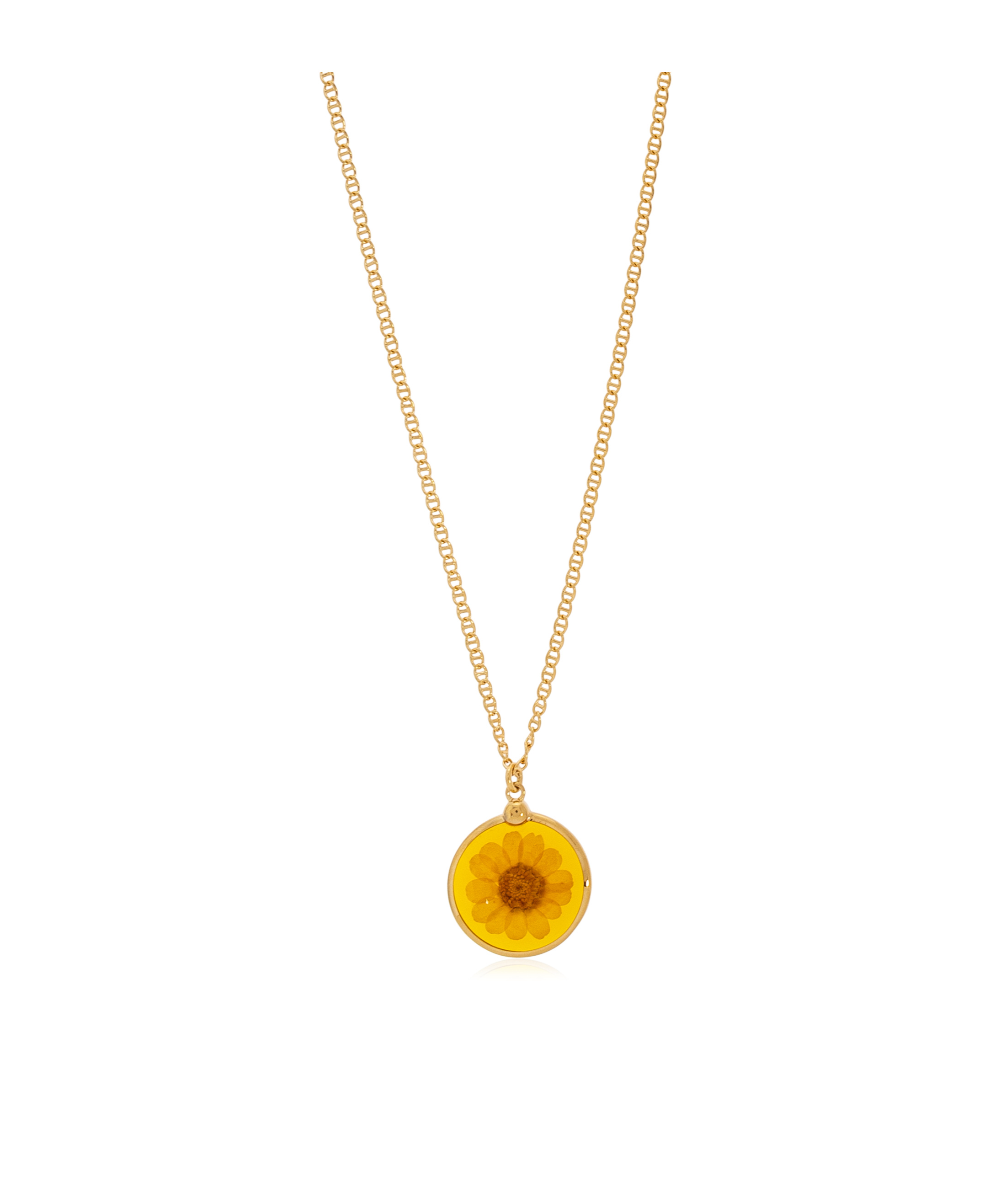 Apc Gold Anastasia Barbieri Edition Fortuna Necklace In Yellow
