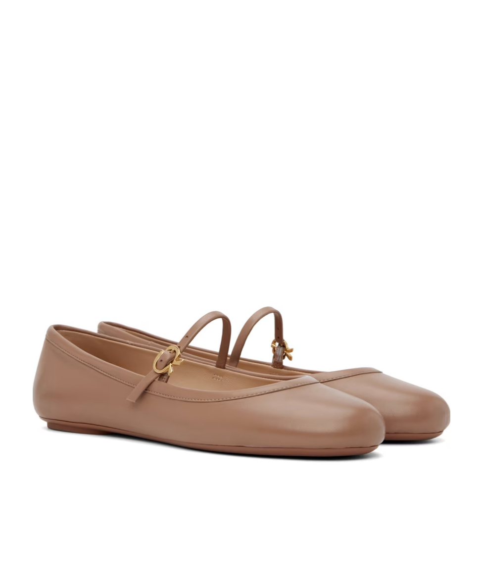 Shop Gianvito Rossi Carla Ballet Shoes In Brown
