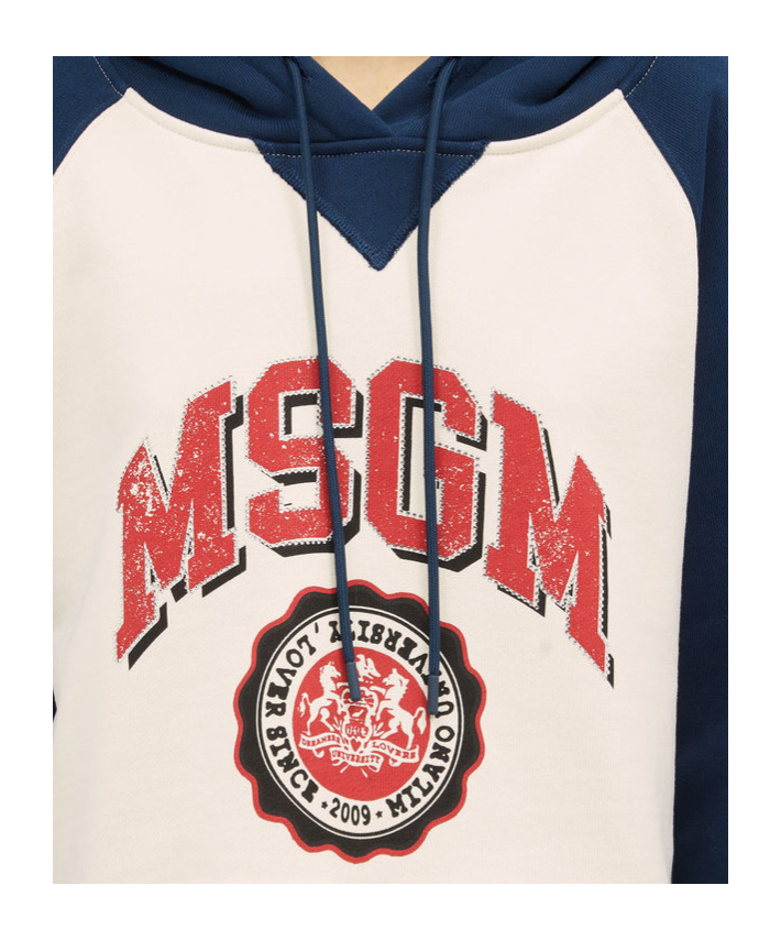 Msgm Hoodie Mit Logo-print In Multicolor