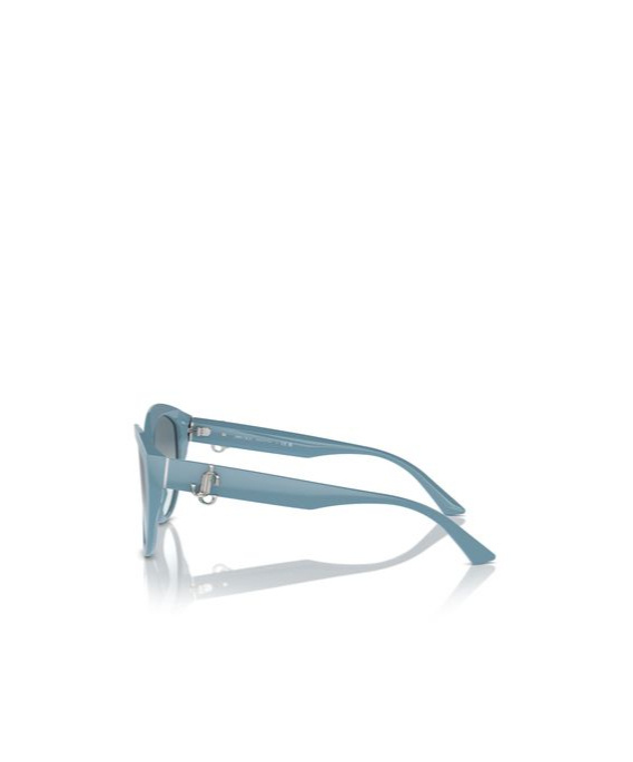 Jimmy Choo Eyewear Cat-eye Frame Sunglasses In Gray