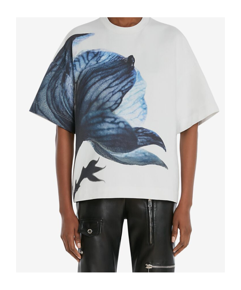 Alexander Mcqueen Crew Neck T-shirt In White/blue