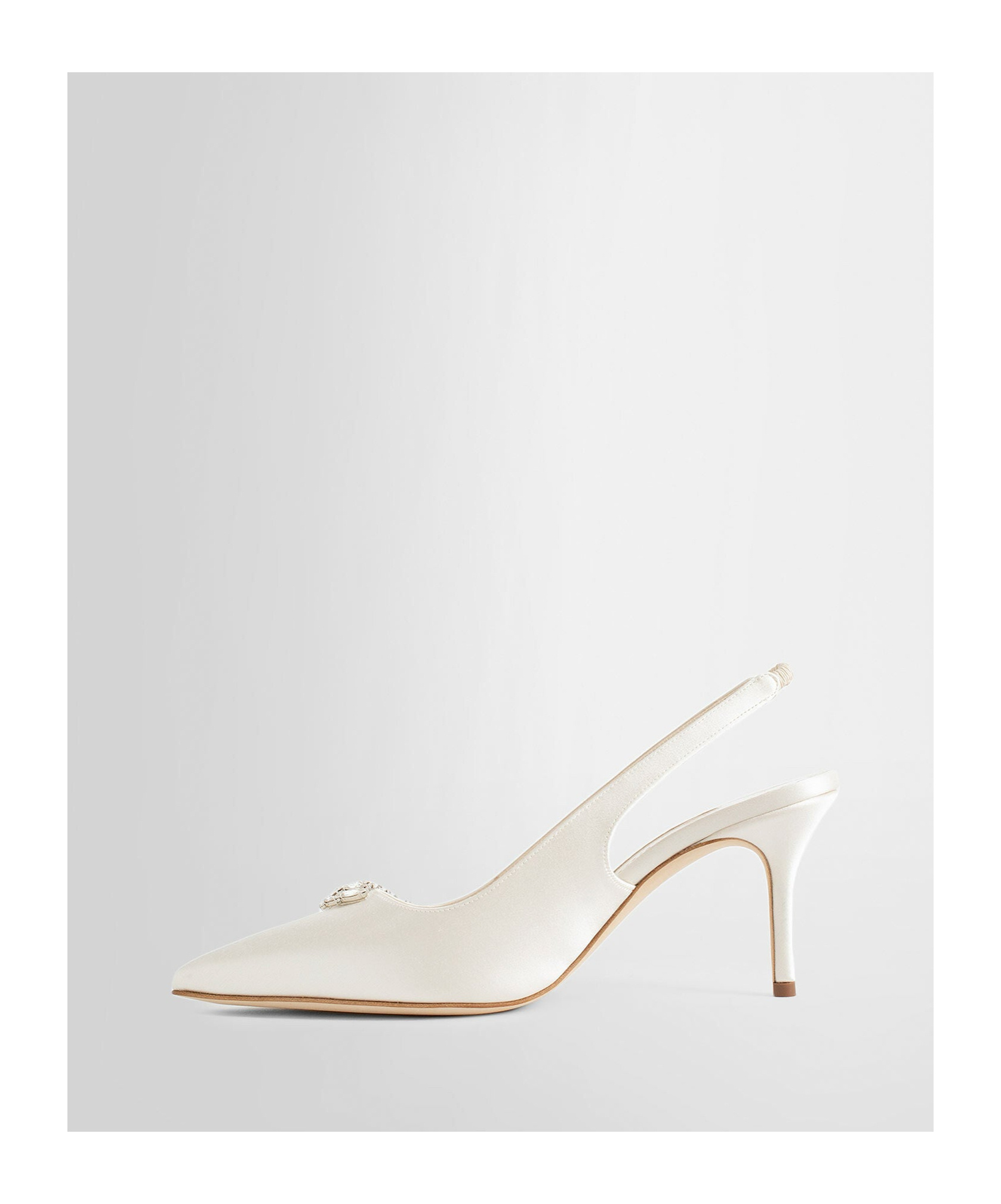 Manolo Blahnik Embellished Pointed Toe Pumps In Brown