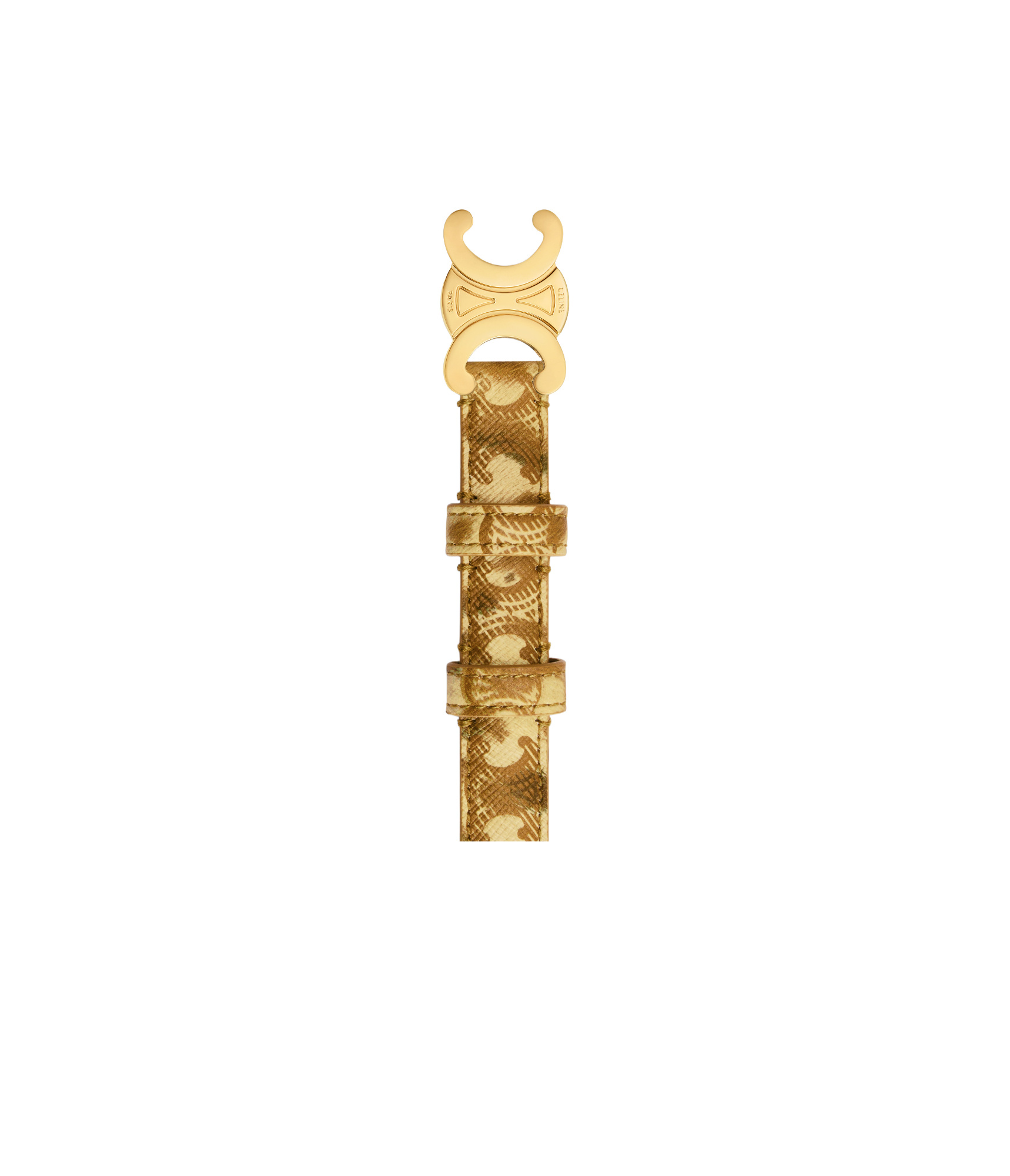 Celine Small Triomphe Belt In Triomphe Canvas With Leopard Print In Gold