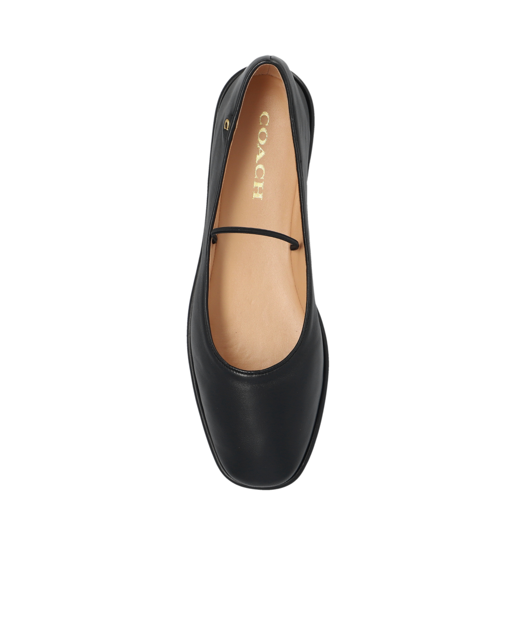 Shop Coach Emilia Leather Ballerina Shoes In Black
