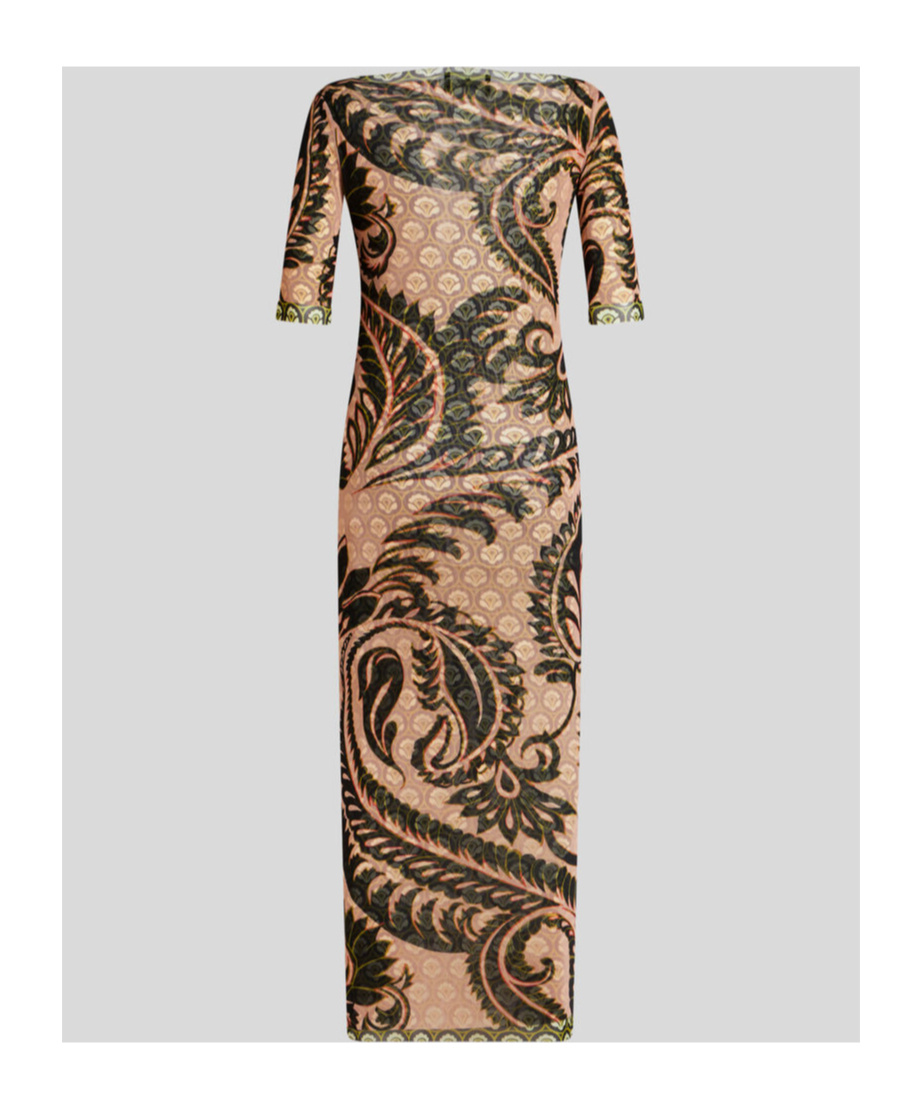 Shop Etro Printed Tulle Dress In Multicolor