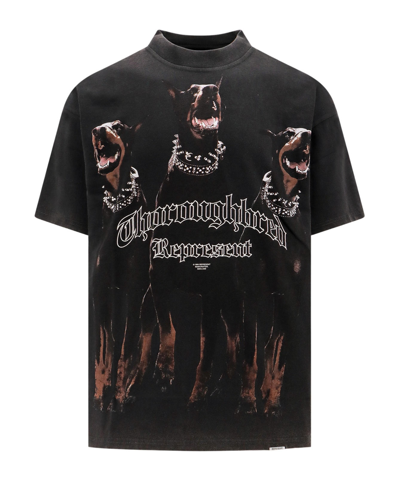 Represent Men's Thoroughbred T-shirt In Black
