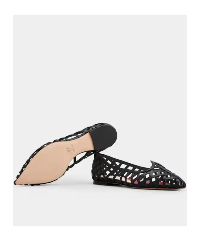 Roger Vivier Leather Point Toe Ballet Flats With Cut-out Details In Black