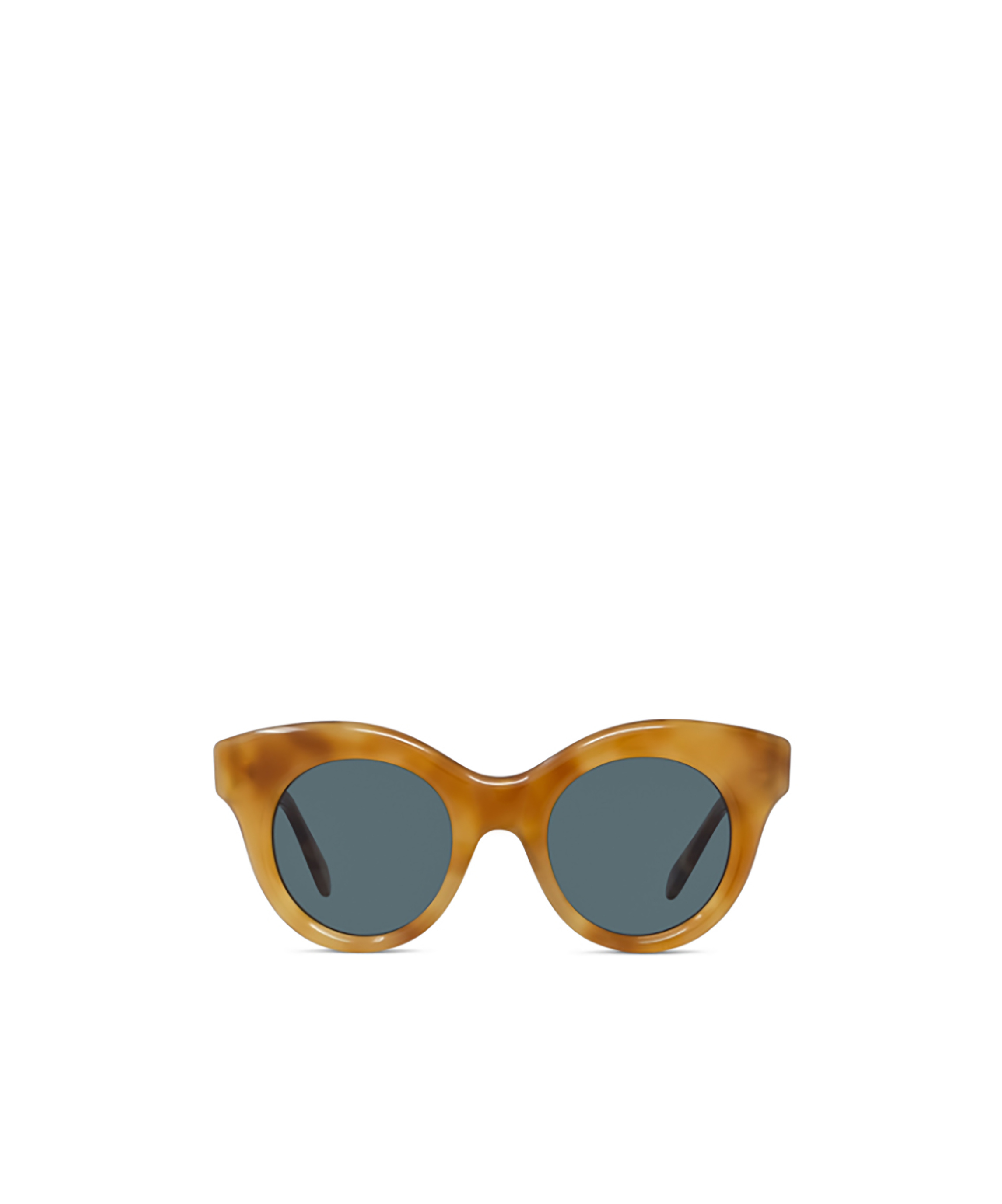 Loewe Curvy 49mm Small Round Sunglasses In Green