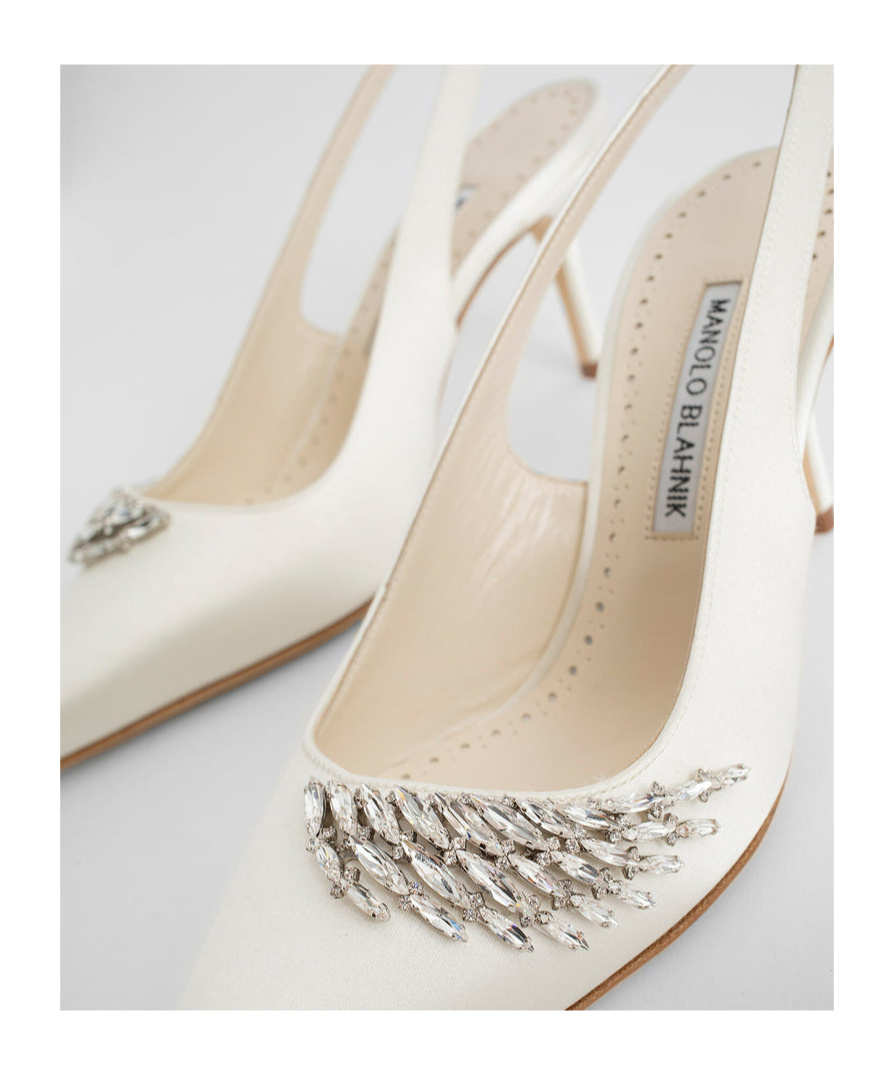 Manolo Blahnik Embellished Pointed Toe Pumps In Brown