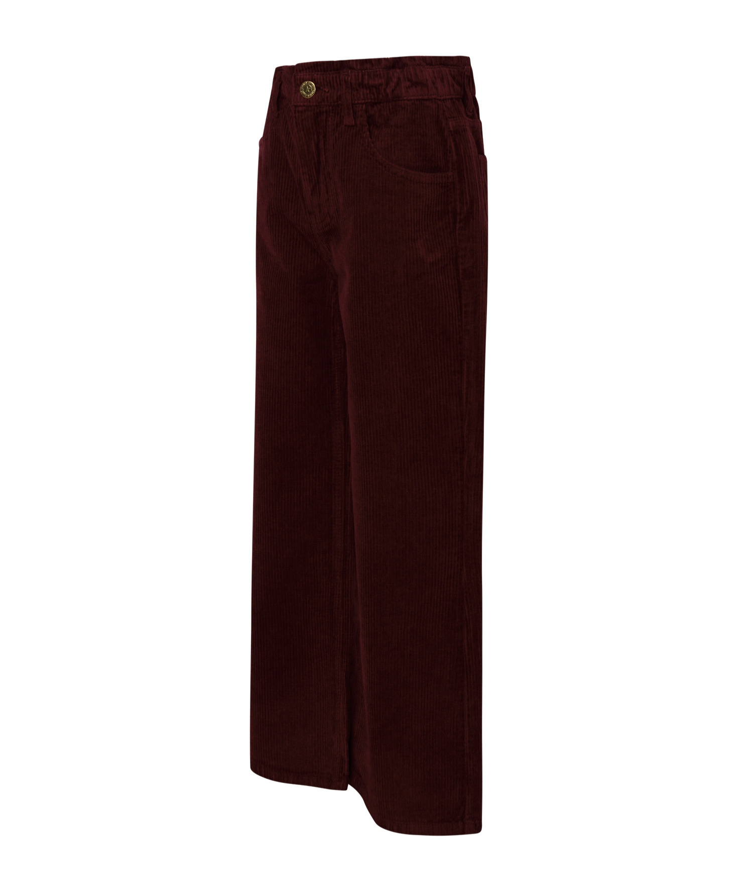 Golden Goose Rhinestone-embellished Corduroy Trousers In Brown
