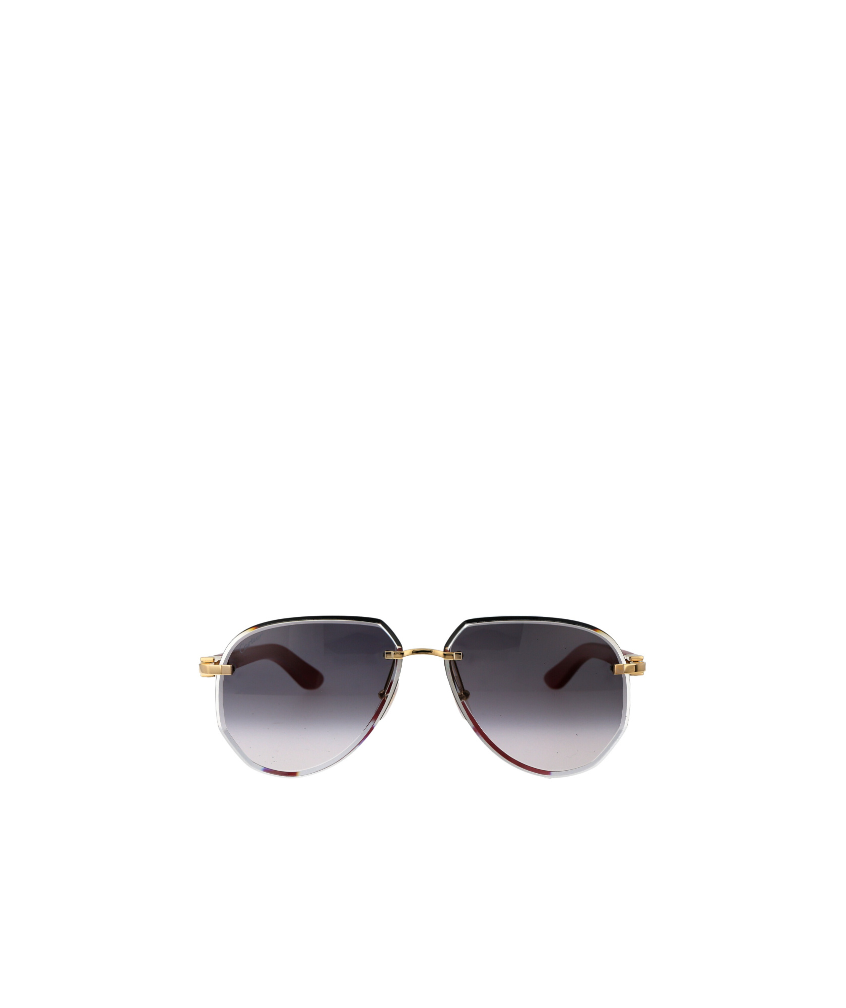 Cartier Ct0440s Sunglasses In Gray