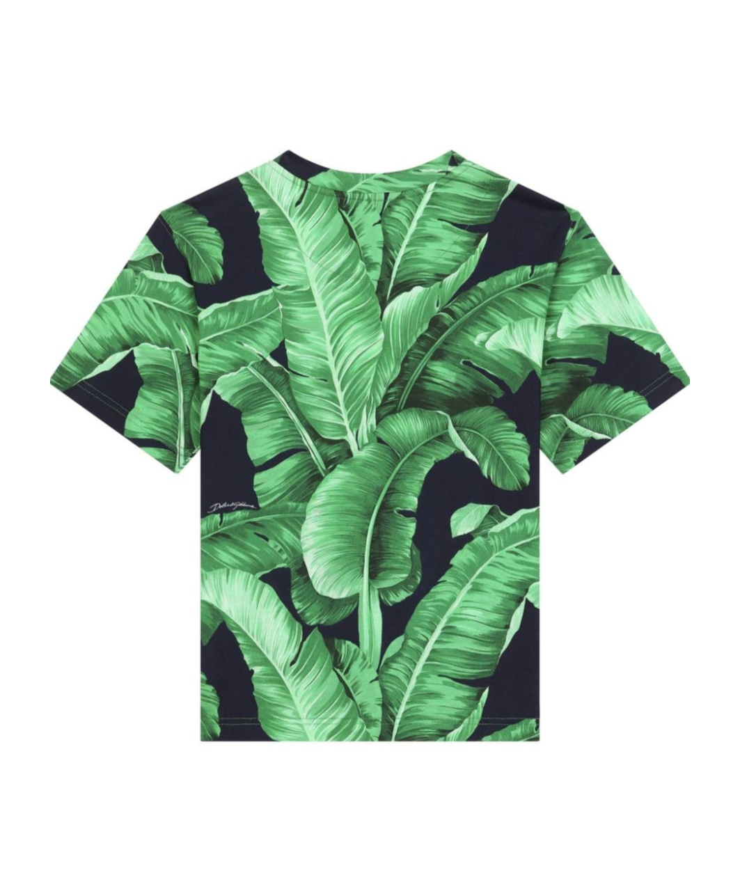 Dolce & Gabbana Leaf-print Cotton T-shirt In Green