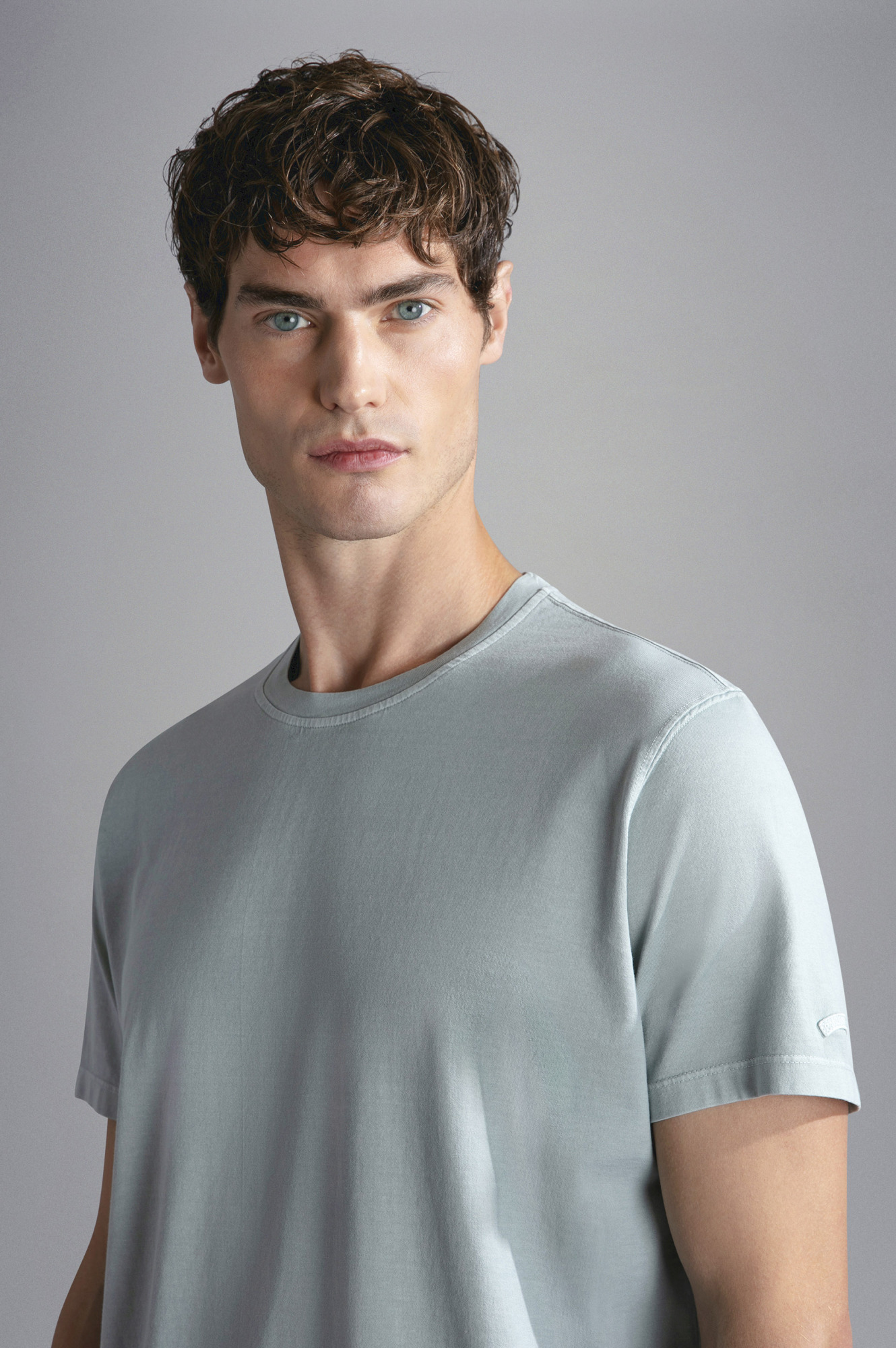Shop Paul & Shark Cotton T-shirt In Gray