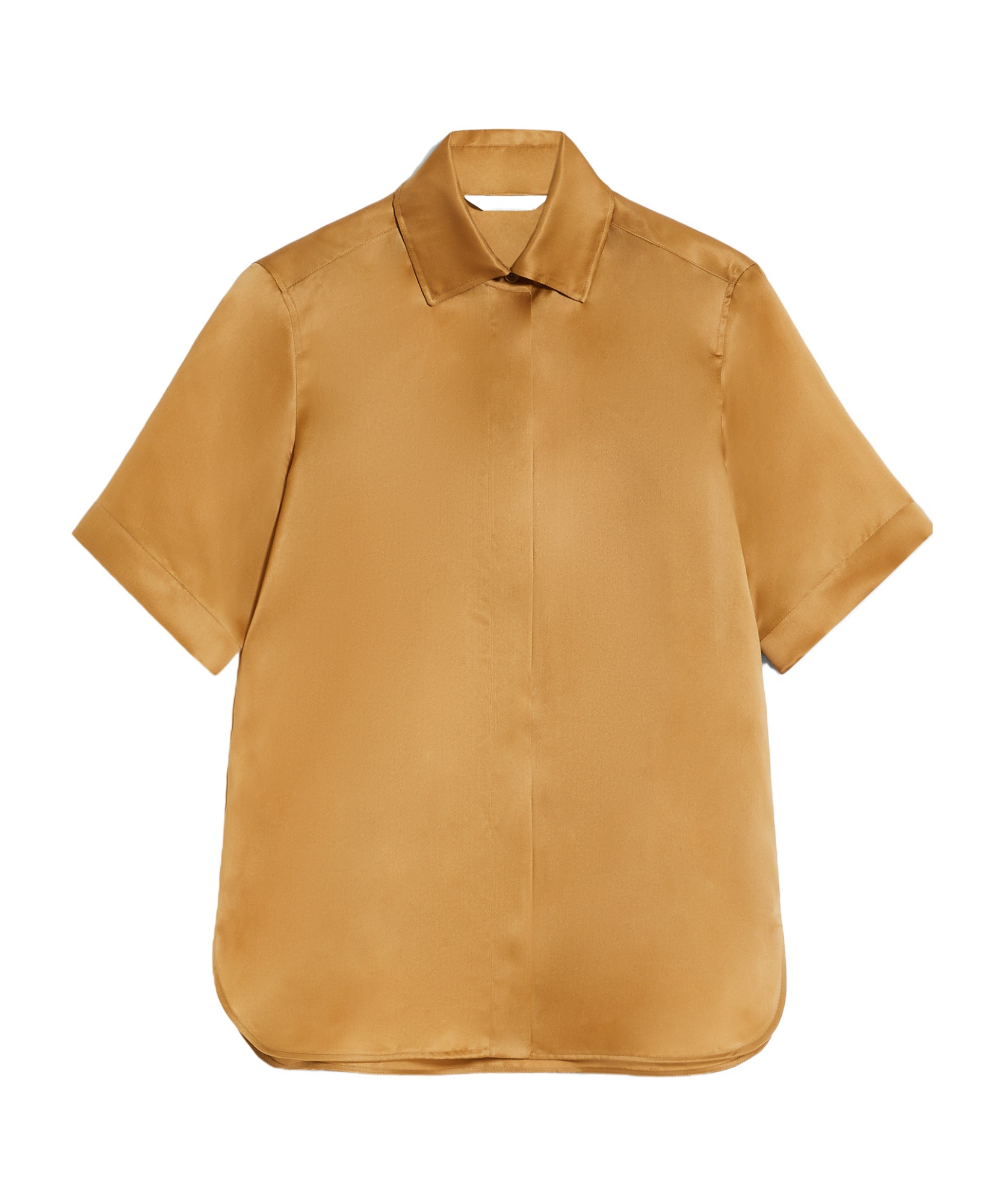 Max Mara Acanto Shirt In Brown