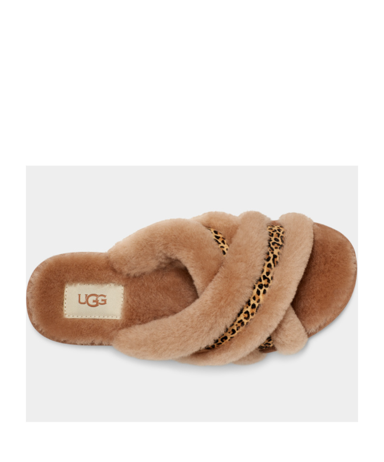 Shop Ugg Spotted Slippers In Brown