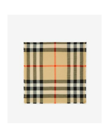 Burberry House Check Cashmere-blend Scarf In Multicolor