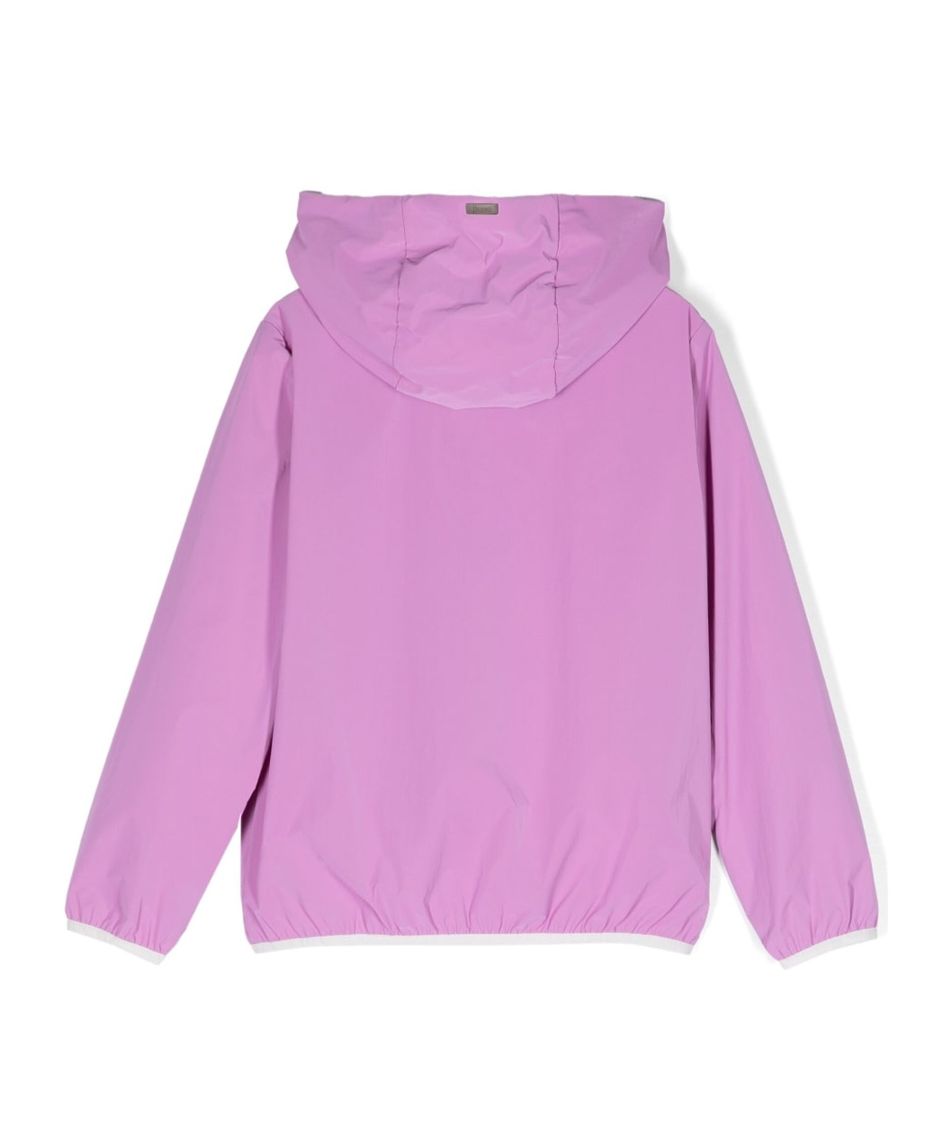 Herno Zip-up Hooded Bomber Jacket In Purple