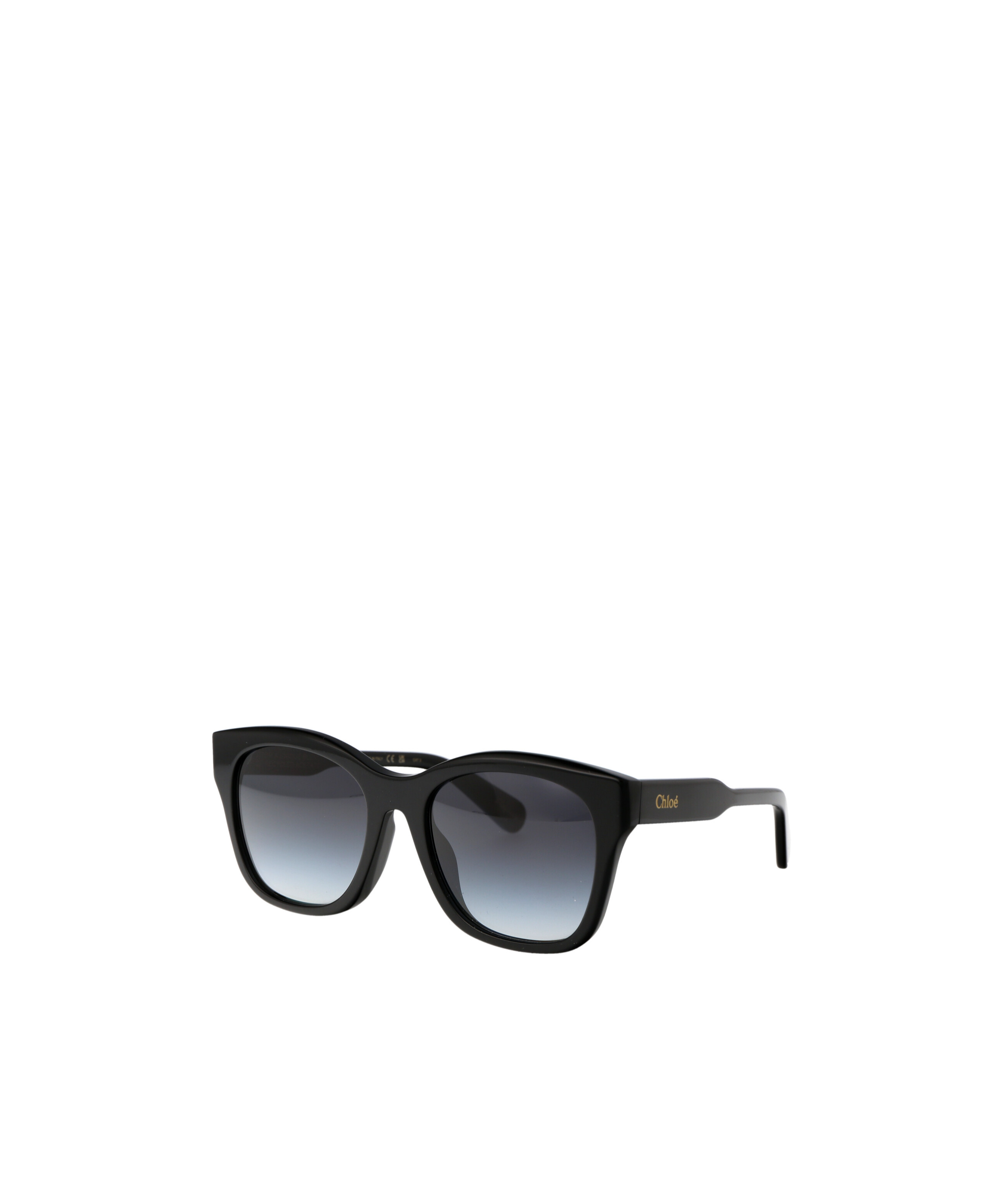 Chloé Chloe Sunglasses Ch0194 Sk 001 In Black