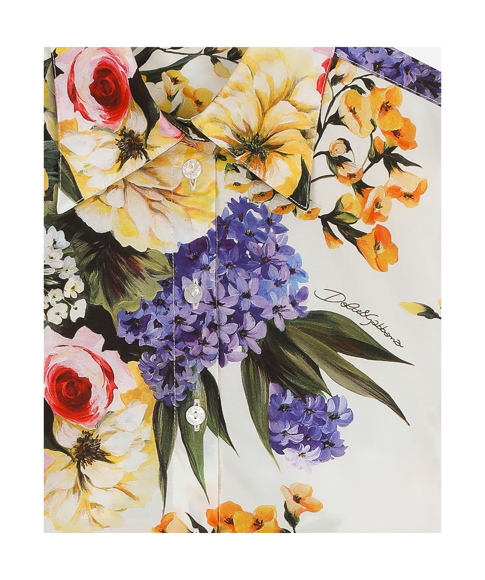 Dolce & Gabbana Giardino-print Crop Shirt In Multicolor
