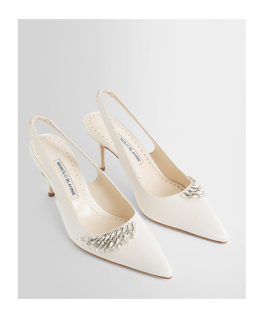 Manolo Blahnik Embellished Pointed Toe Pumps In Brown