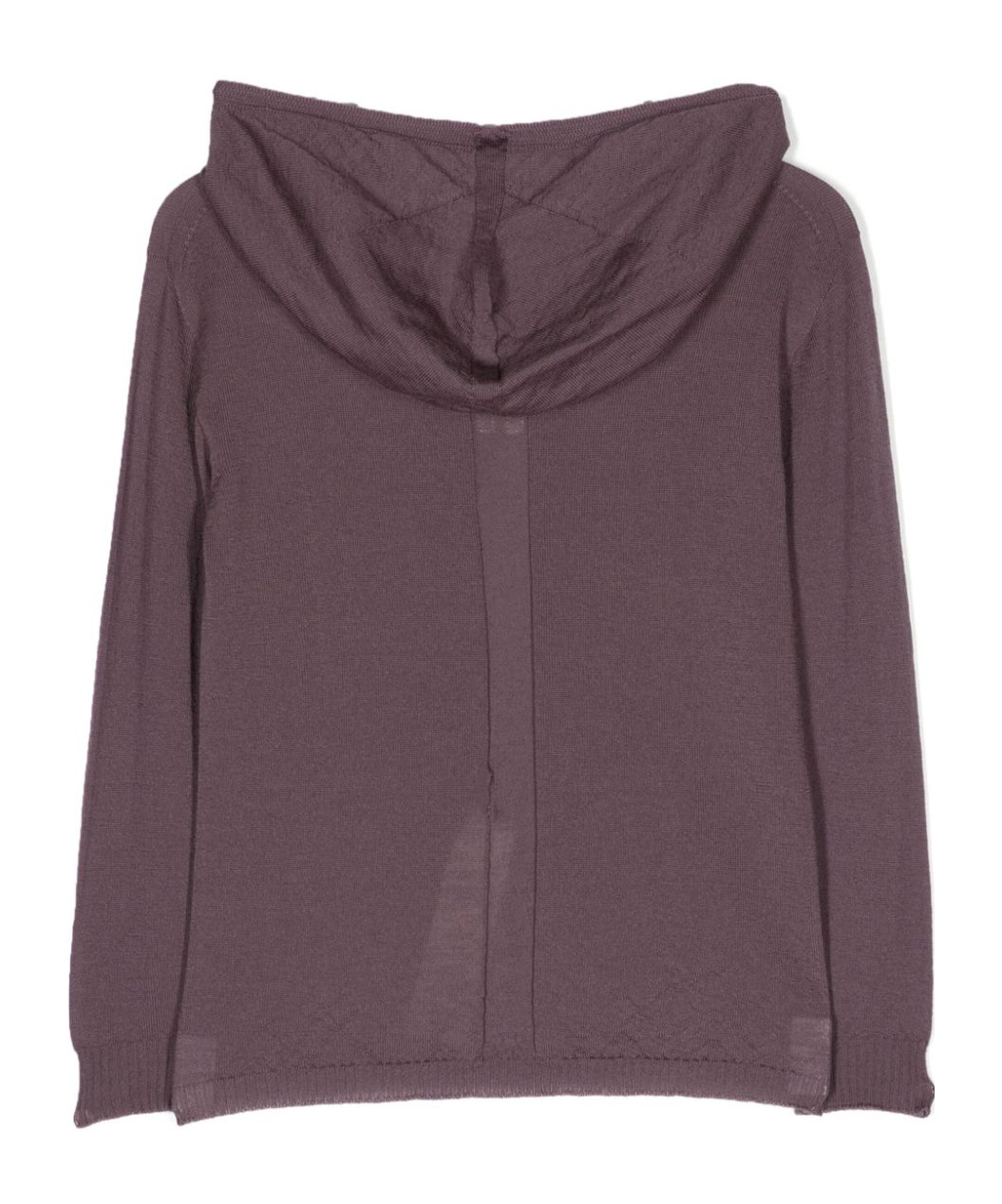 Rick Owens Fine-knit Virgin Wool Hoodie In Brown