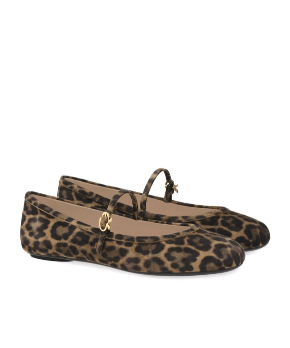 Shop Gianvito Rossi Carla Leopard-pattern Buckle-strap Ballerina Shoes In Black