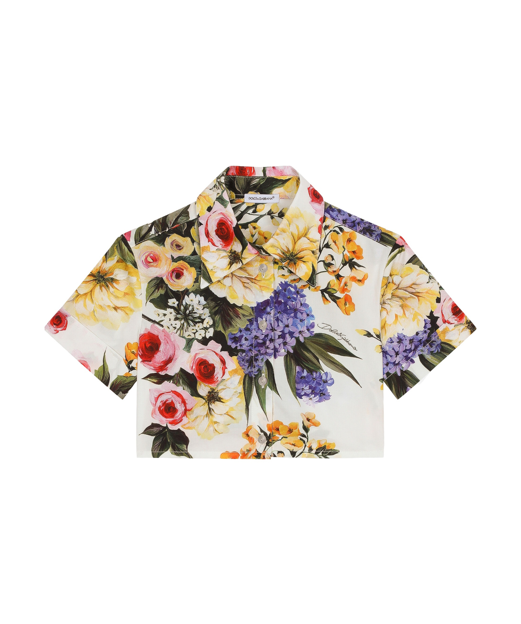 Dolce & Gabbana Giardino-print Crop Shirt In Multicolor