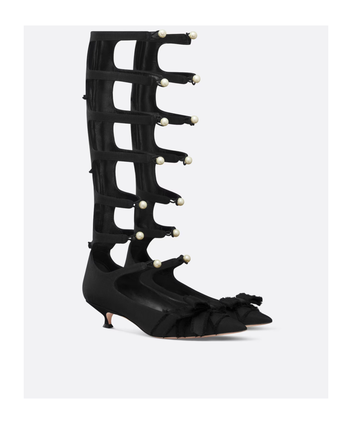 Dior Adirable Boots In Black