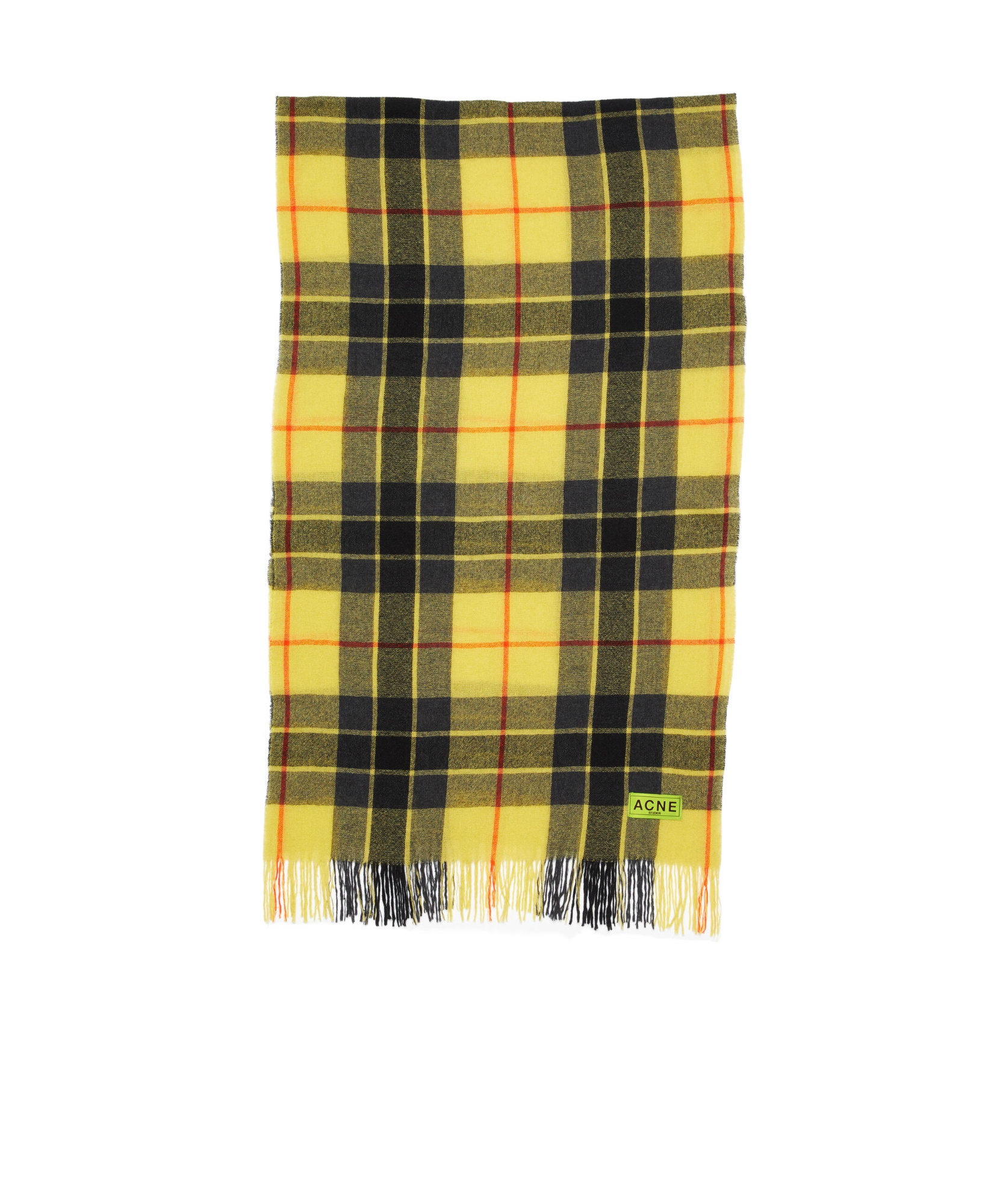 Acne Studios Plaid Fringed Scarf In Green