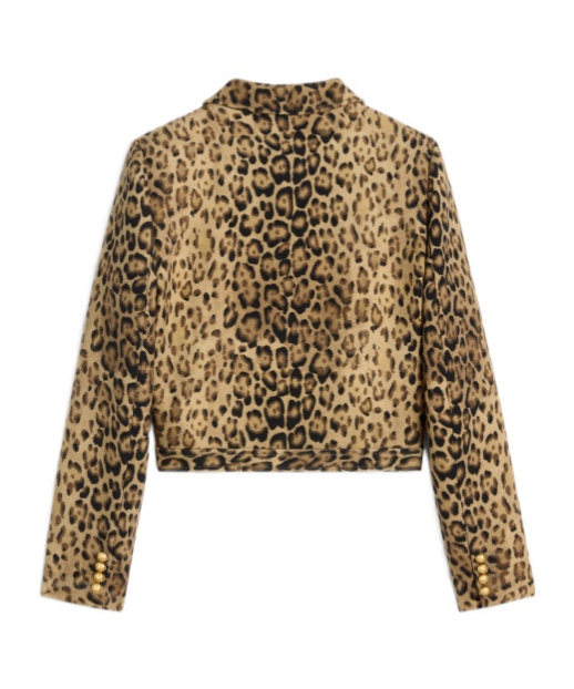 Celine Double Wool Jacket In Brown