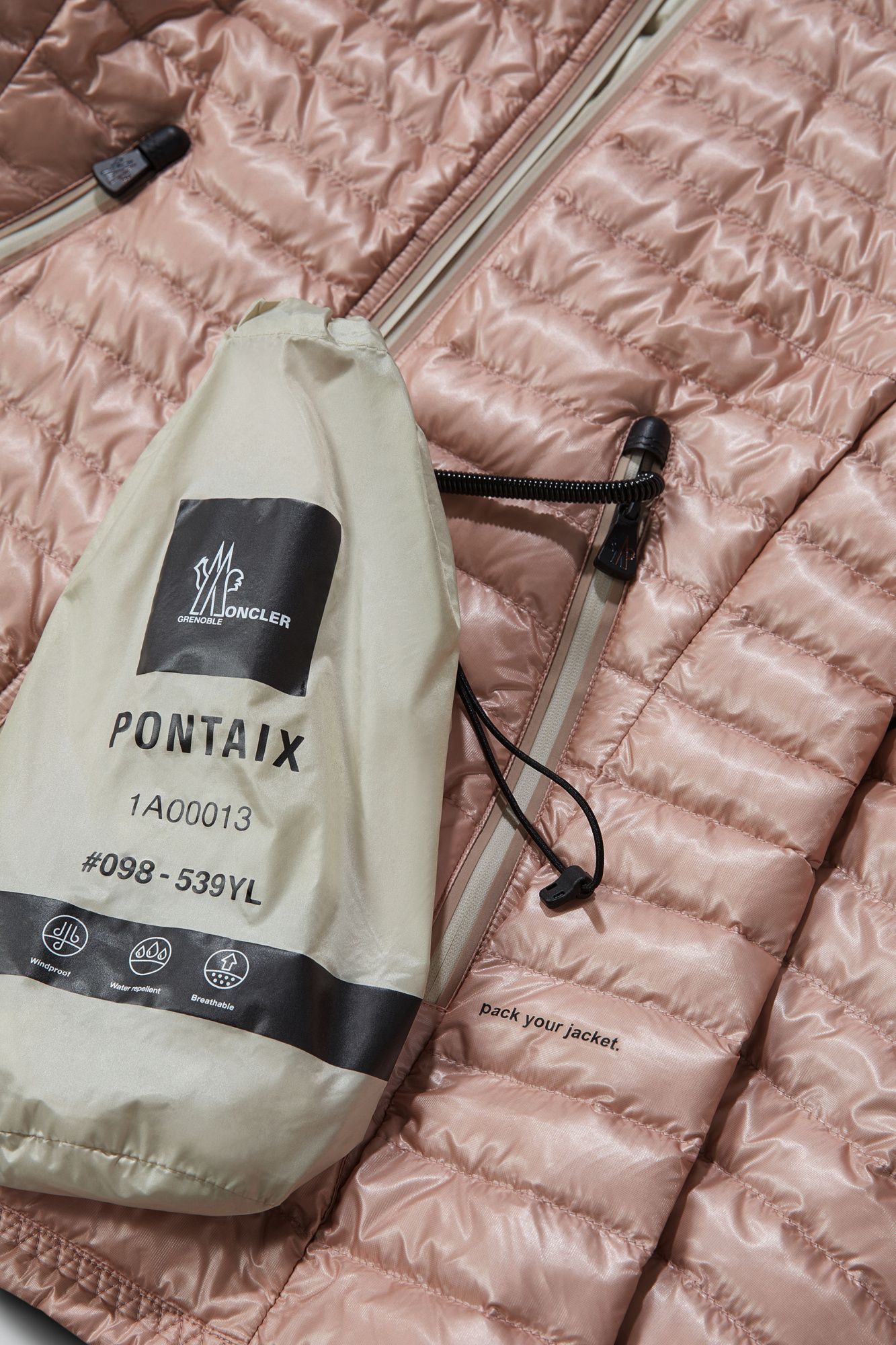 Shop Moncler Pontaix Short Down Jacket In Pink