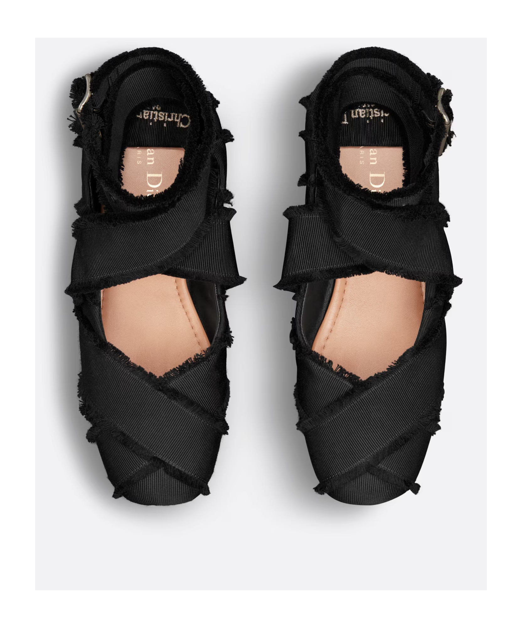 Dior Songe Ballet Shoes In Black