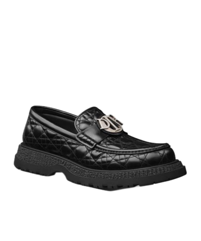 Dior Buffalo Loafer Shoes In Black