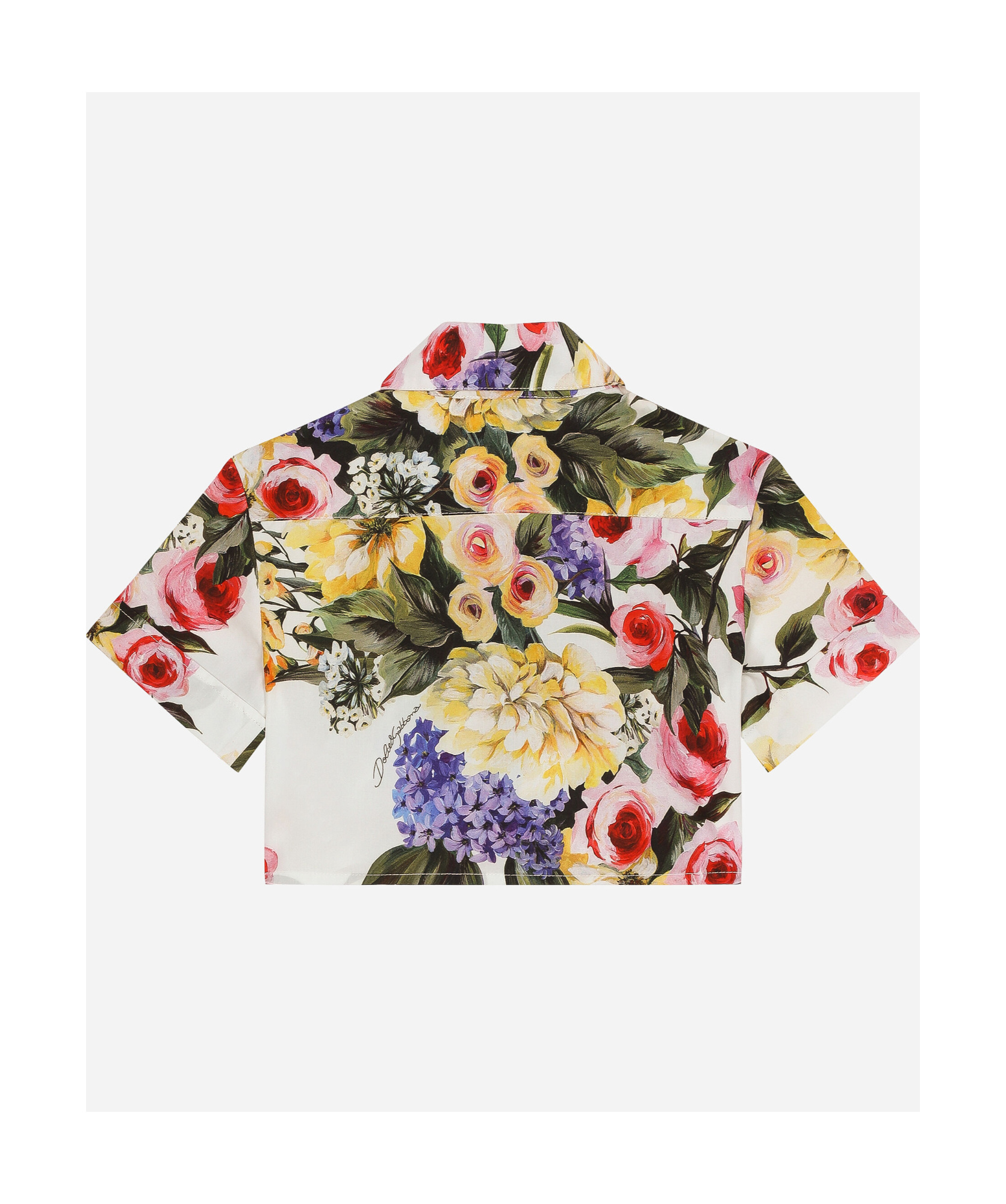 Dolce & Gabbana Giardino-print Crop Shirt In Multicolor